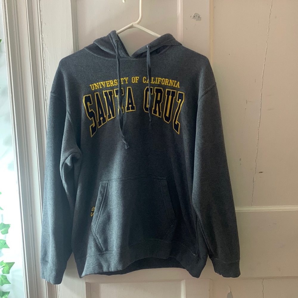 College Hoodie- UC Santa Cruz